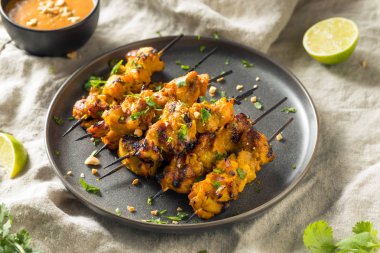 Ev Yapımı Tay Tavuk Satay