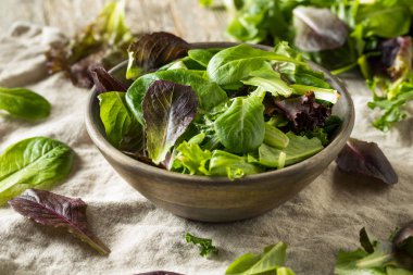 Çiğ Yeşil Organik Bebek Bahar Marul