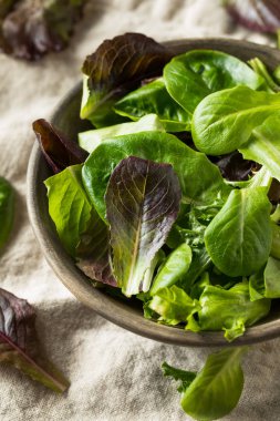 Çiğ Yeşil Organik Bebek Bahar Marul