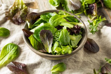 Çiğ Yeşil Organik Bebek Bahar Marul