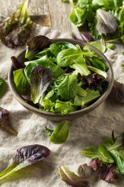 Çiğ Yeşil Organik Bebek Bahar Marul