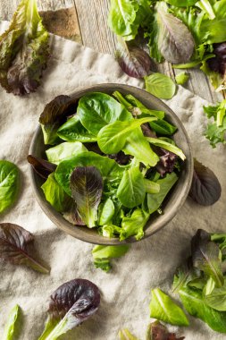 Çiğ Yeşil Organik Bebek Bahar Marul