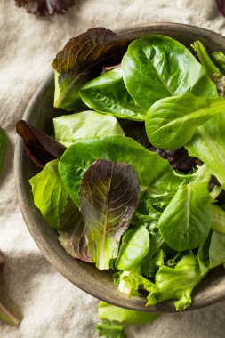 Çiğ Yeşil Organik Bebek Bahar Marul