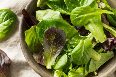 Çiğ Yeşil Organik Bebek Bahar Marul