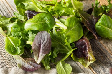 Çiğ Yeşil Organik Bebek Bahar Marul