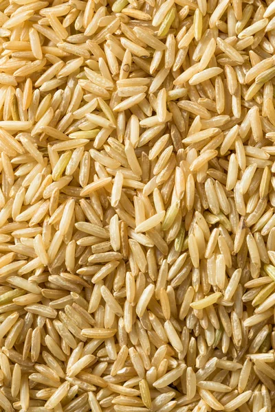 Сухой органический индийский рис басмати — стоковое фото