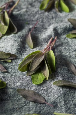 Ham Organik Mor Adaçayı