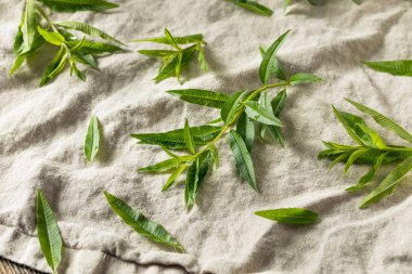 Yeşil Organik Taze Limon Verbena