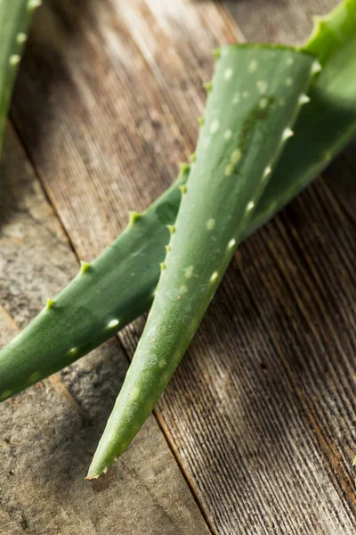 Aloe Vera orgânico verde cru — Fotografia de Stock