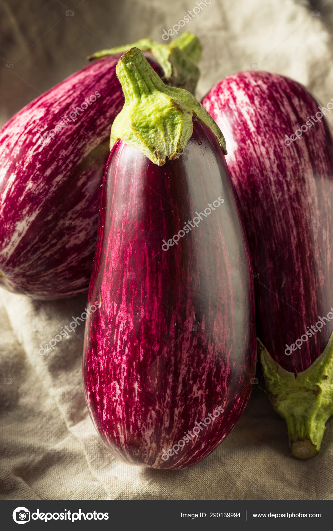 Баклажаны Raw Purple Organic Gaffiti Стоковое Фото ©bhofack2 290139994