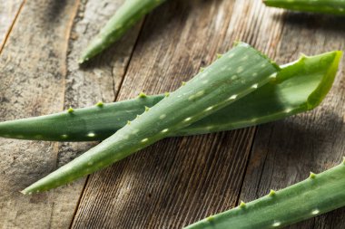 Çiğ Yeşil Organik Aloe Vera