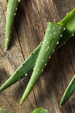Çiğ Yeşil Organik Aloe Vera