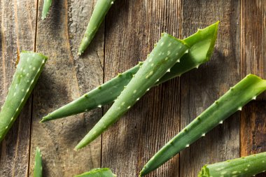 Çiğ Yeşil Organik Aloe Vera