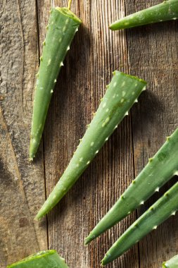 Çiğ Yeşil Organik Aloe Vera