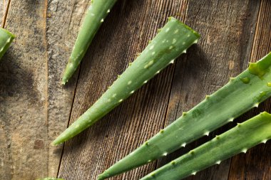 Çiğ Yeşil Organik Aloe Vera