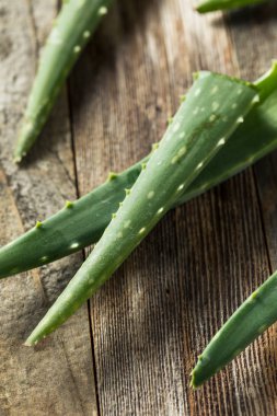 Çiğ Yeşil Organik Aloe Vera