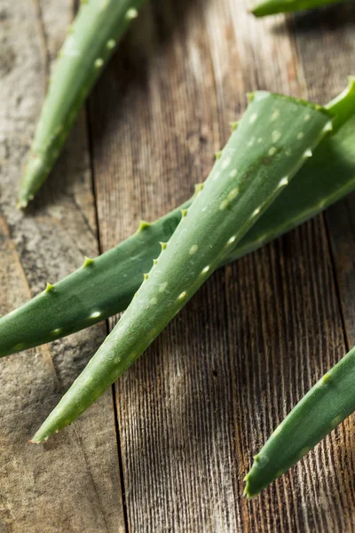 Çiğ Yeşil Organik Aloe Vera