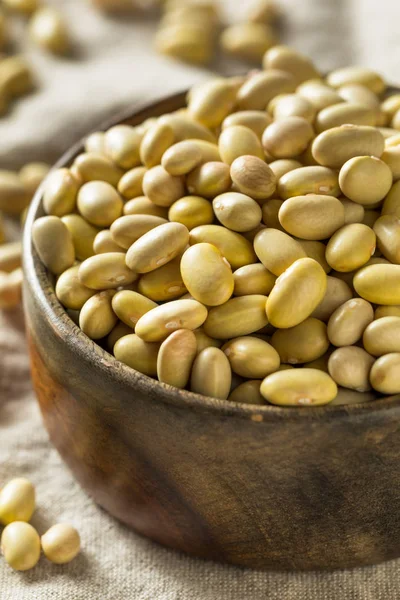 Dry Organic Yellow Mayocoba Beans — Stock Photo, Image