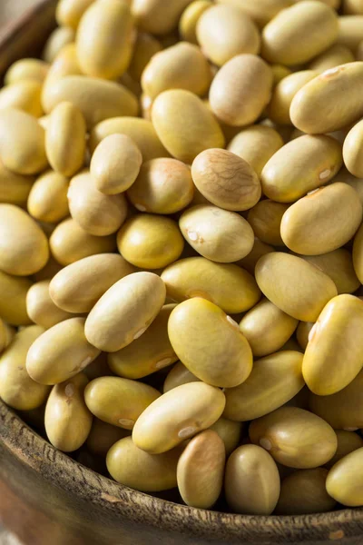 Dry Organic Yellow Mayocoba Beans — Stock Photo, Image