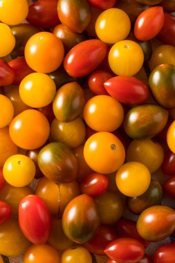 Çiğ Organik Hatıra Kiraz Domates