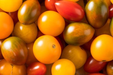 Çiğ Organik Hatıra Kiraz Domates