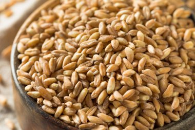 Ham Organik Farro Tahıl