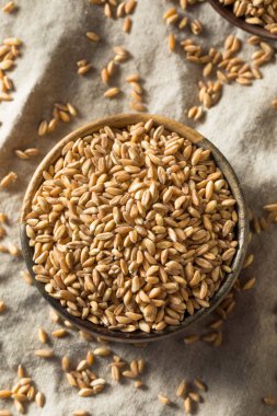 Ham Organik Farro Tahıl