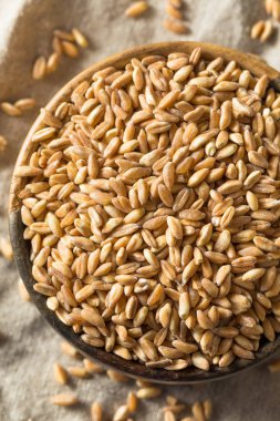 Ham Organik Farro Tahıl