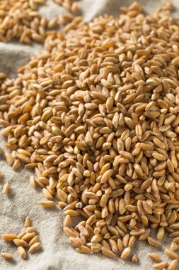 Ham Organik Farro Tahıl