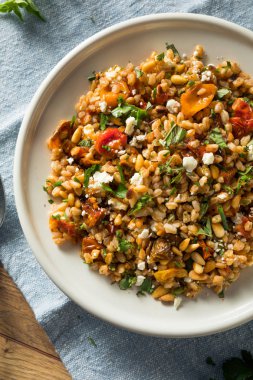 Ev Yapımı Sağlıklı Farro Domates Salatası