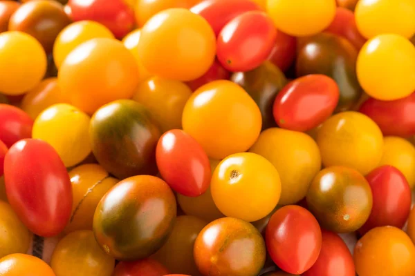 Raw Organic Heirloom Cherry Tomatoes — Stock Photo, Image