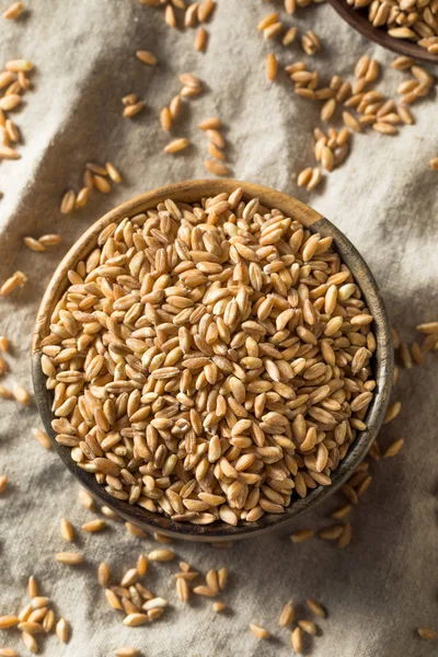 Raw Organic Farro Grain — Stock Photo, Image