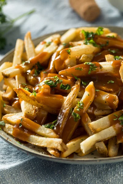 Házi készítésű amerikai Gravy Fries — Stock Fotó