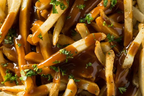 Homemade American Gravy Fries — Stock Photo, Image