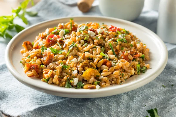 Hemlagad hälsosam Farro tomatsallad — Stockfoto