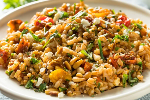 Zelfgemaakte gezonde Farro tomatensalade — Stockfoto