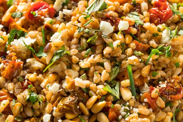 Ensalada casera de tomate Farro saludable —  Fotos de Stock