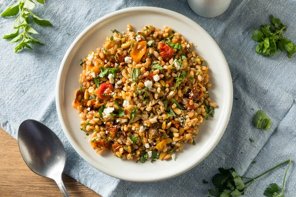 Hausgemachter gesunder Farro Tomatensalat — Stockfoto