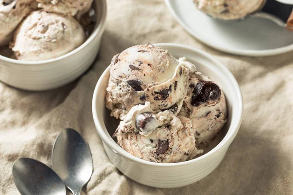 Es Krim Moose Tracks buatan sendiri — Stok Foto