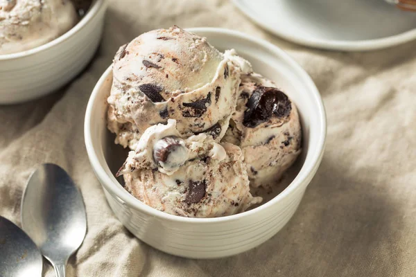 Es Krim Moose Tracks buatan sendiri — Stok Foto