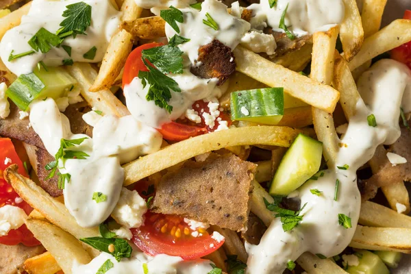 Homemade Greek Gyro Meat French Fries — Stock Photo, Image