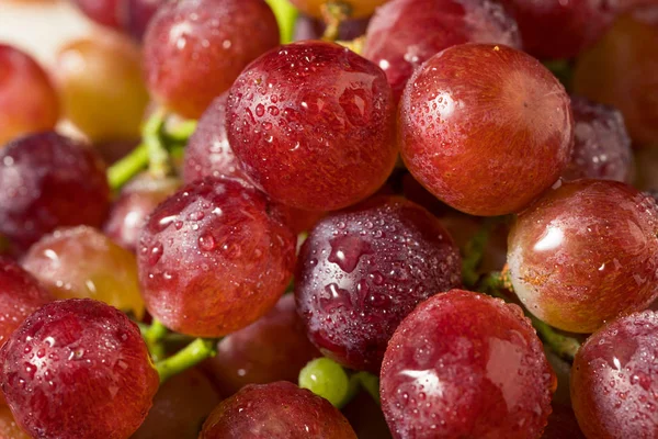 Nyers vörös bio szőlő — Stock Fotó