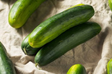 Ham yeşil organik salatalık