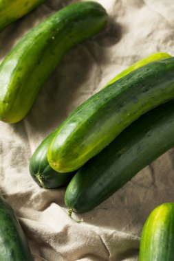 Ham yeşil organik salatalık