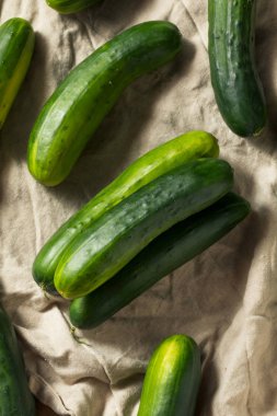 Ham yeşil organik salatalık