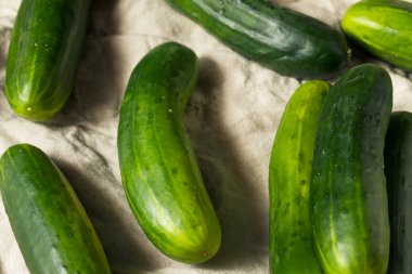 Ham yeşil organik salatalık