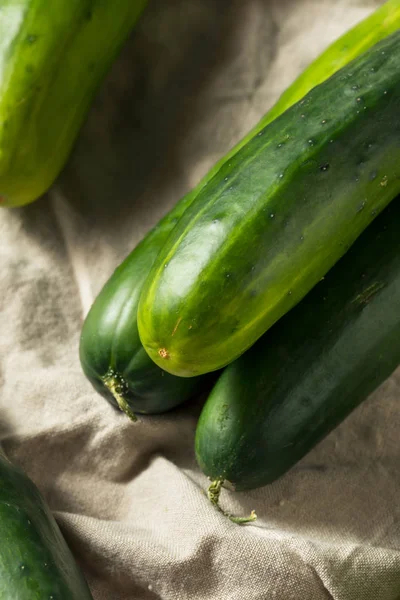 Pepinos orgânicos verdes crus — Fotografia de Stock