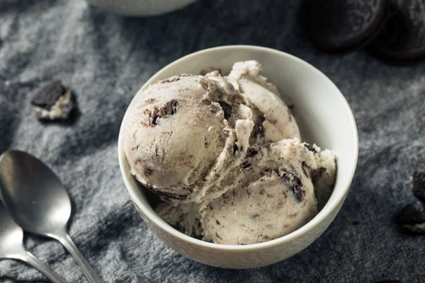 Домашние шоколадные печенья и мороженое со льдом — стоковое фото