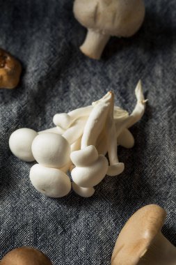 Çiğ Organik Gurme Mantar Çeşitleri