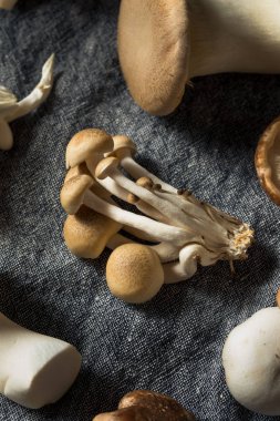 Çiğ Organik Gurme Mantar Çeşitleri